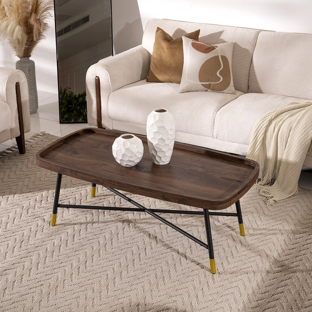 Fira Classic Minimalistic Coffee Table